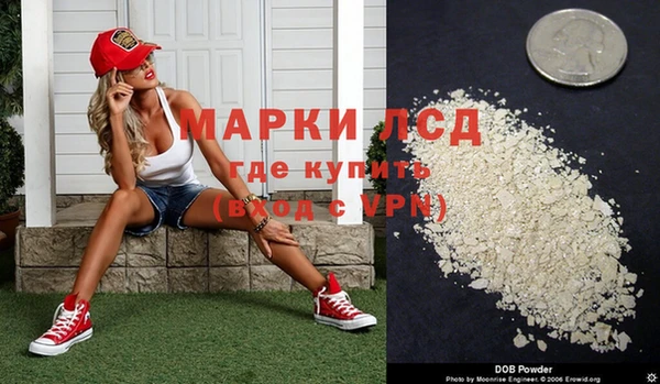 стаф Алексин