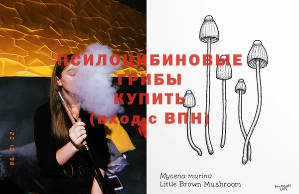 стаф Алексин